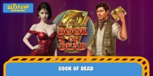 Book of Dead - Hunt for Treasures and Big Jackpots