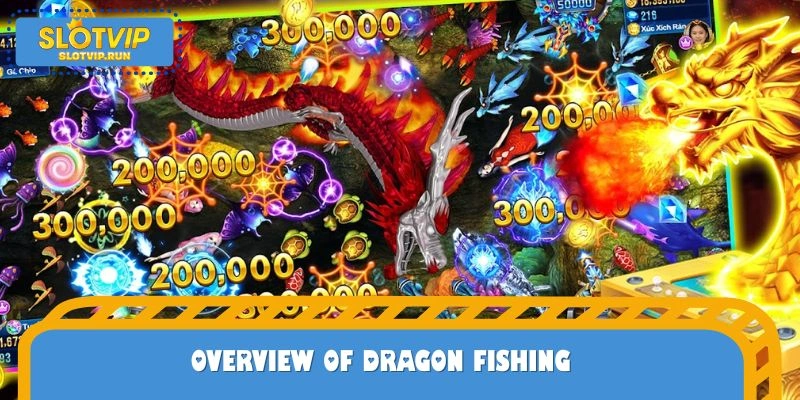 Overview of the dragon fish hunting genre