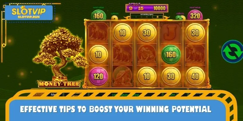 Effective Tips to Boost Your Winning Potential