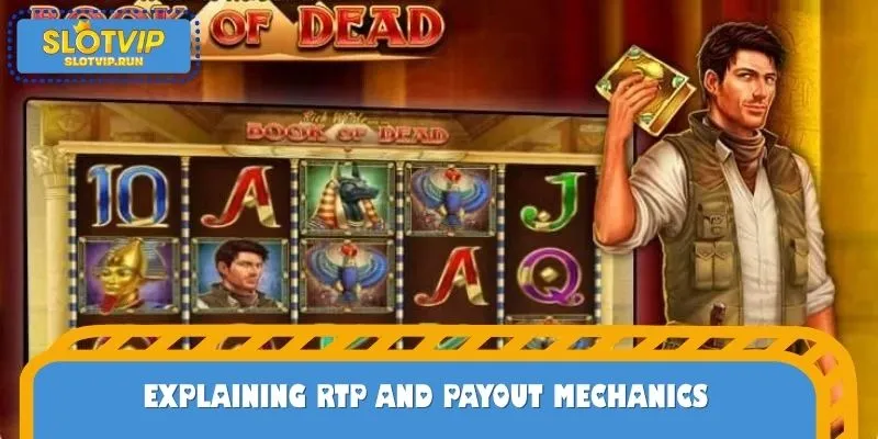 Explaining RTP and Payout Mechanics