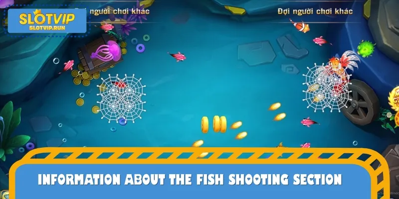 Important information to know about Fish Shooting