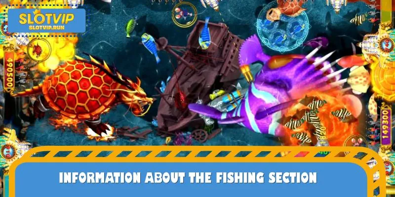 Important information to know about Fishing