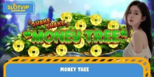 Money Tree – The Thrilling Adventure for Every Gamer