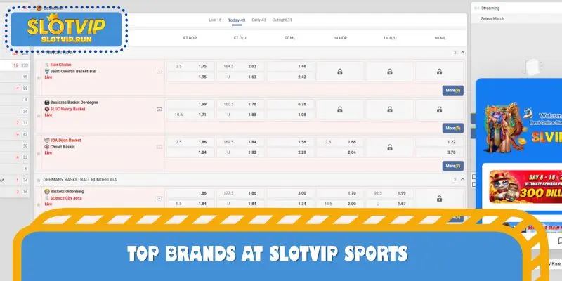 Top brands at SLOTVIP sports