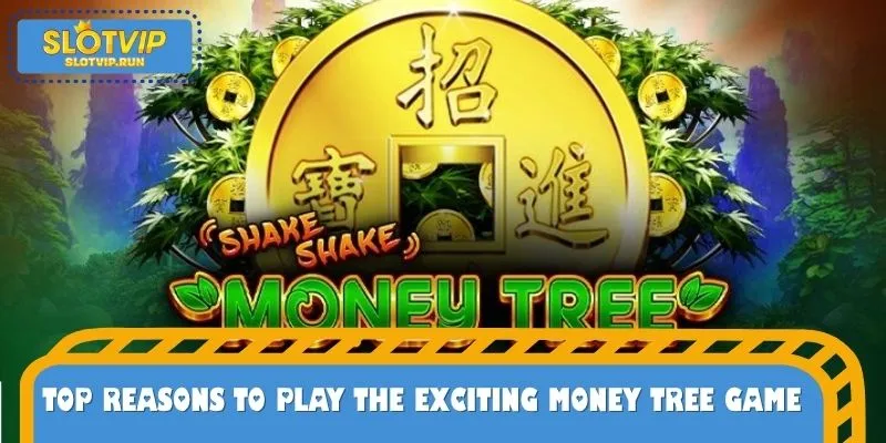 Top Reasons to Play the Exciting Money Tree Game